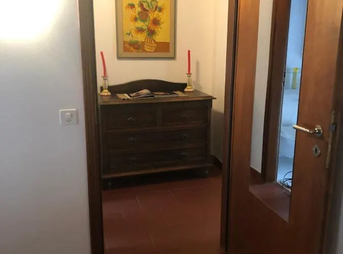 公寓 Ca Di Nani Solduno